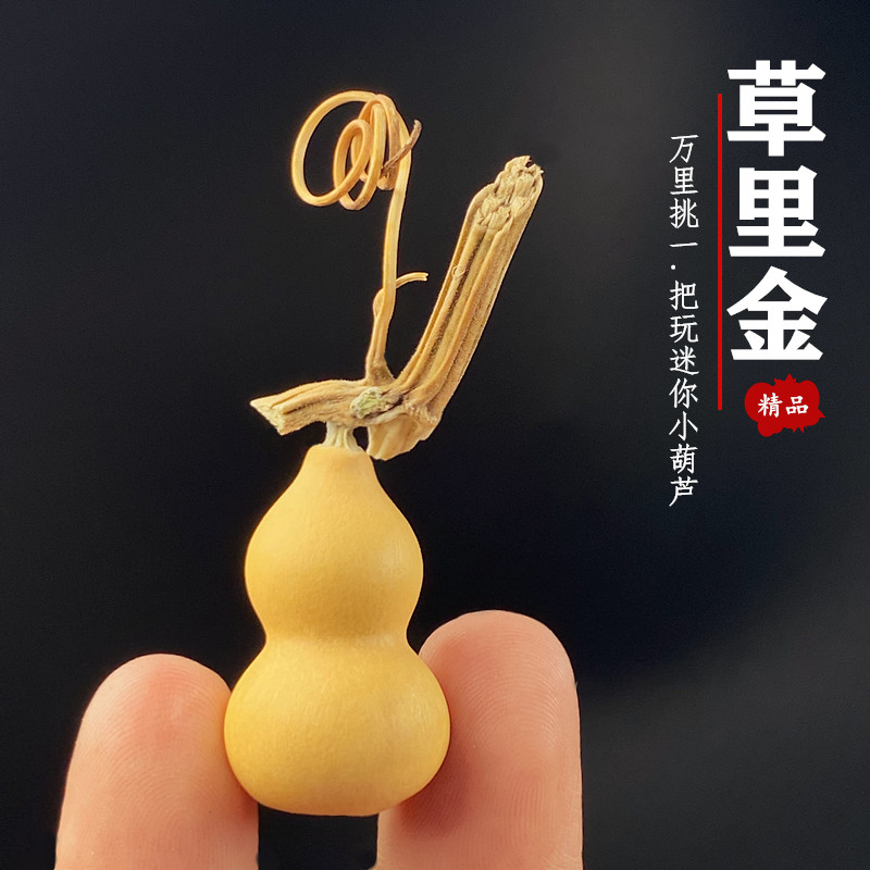 Vintage Collectible Christmas Ornaments - Mini Calabaza Seca Natural en Forma