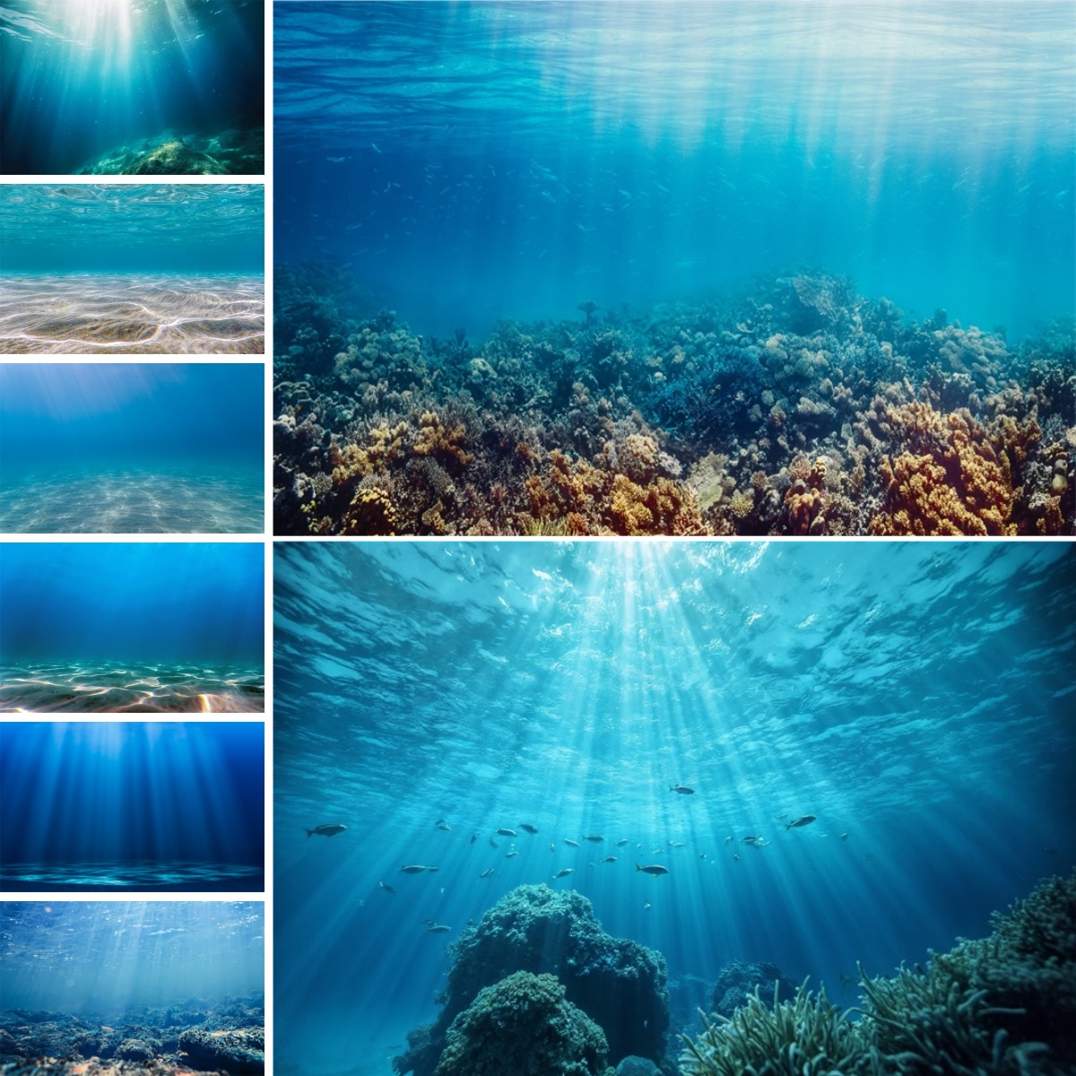 Fondo azul del mundo submarino - Photo Develop Tank reseña y precio
